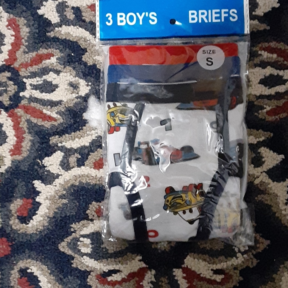 Briefs